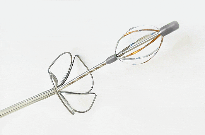 Catheter Design